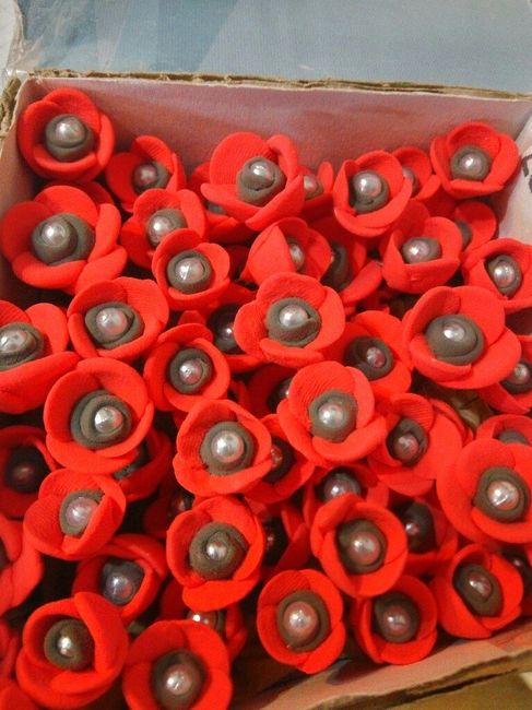 Ya tengo mis alfileres de amapolas - 2