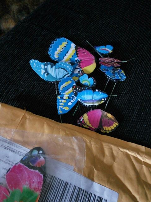Mi nido de mariposas para los anillos - 2