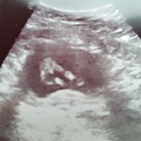Mamas septiembre 2015 - 1
