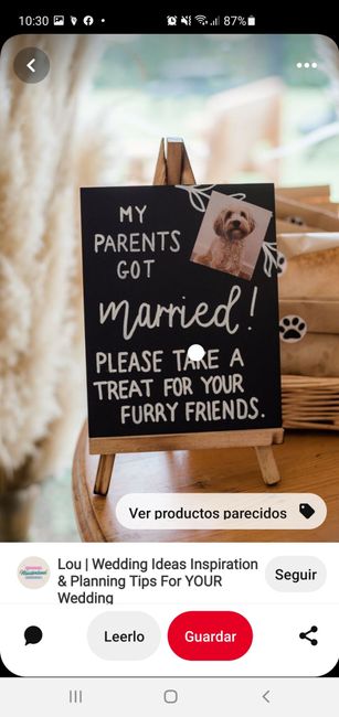 Mascota presente. - 1