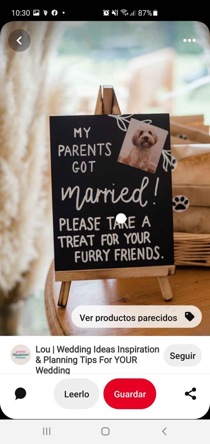 Mascota presente. - 1