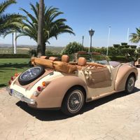 Consejo Coche boda - 1