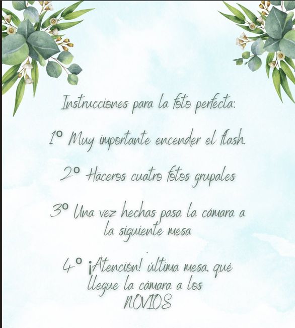 Frases en cámaras desechables. 1