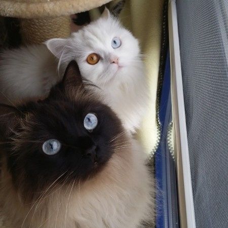 Nuestras mascotas!! - 3