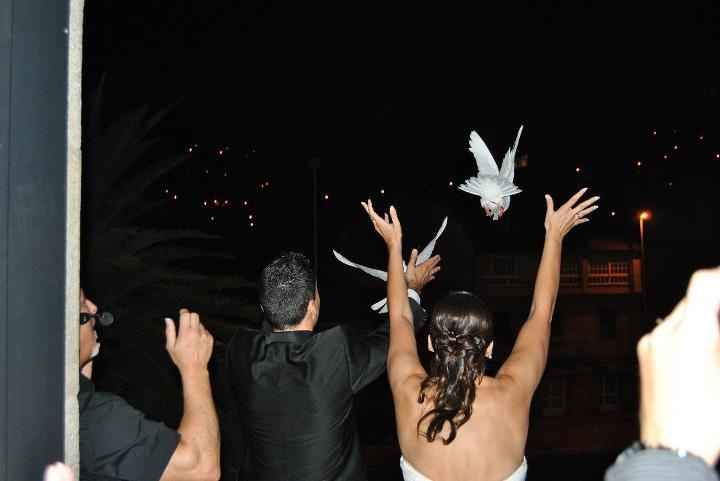 PALOMAS