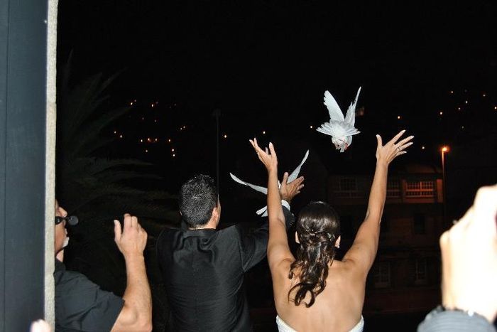PALOMAS