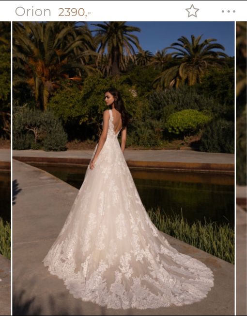 Modelo Orión Pronovias 1