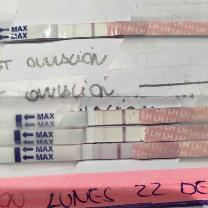 Resuelvo dudas sobre los to (test de ovulacion) - 1