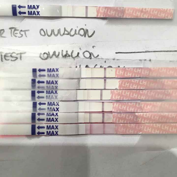 Resuelvo dudas sobre los to (test de ovulacion) - 1