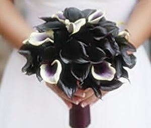 Ramo Negro