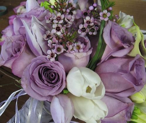 Ramo Malva