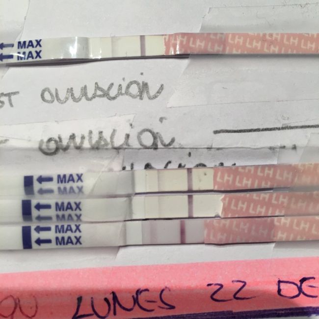 Resuelvo dudas sobre los to (test de ovulacion) - 1
