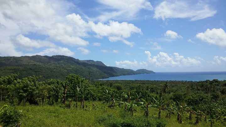 Luna de miel en ✈ samaná experiencia y consejos - 6