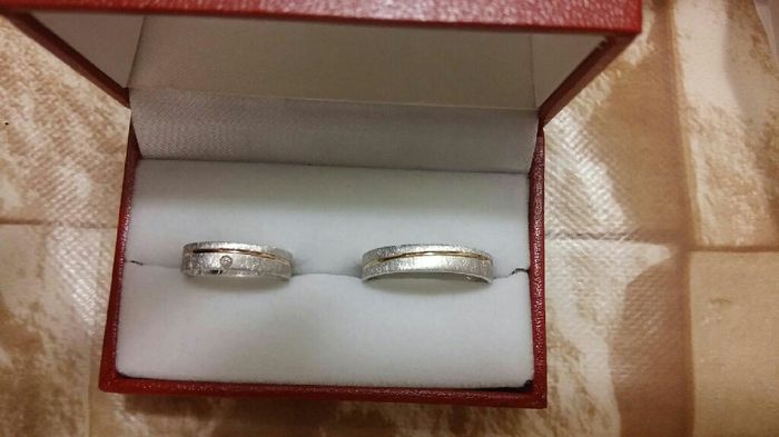 Ya tengo mis alianzas - 5