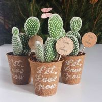foto mini cactus detalles invitados