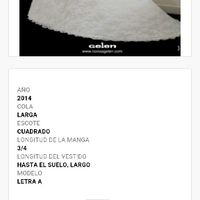 Sigo en la busqueda del vestido - 1