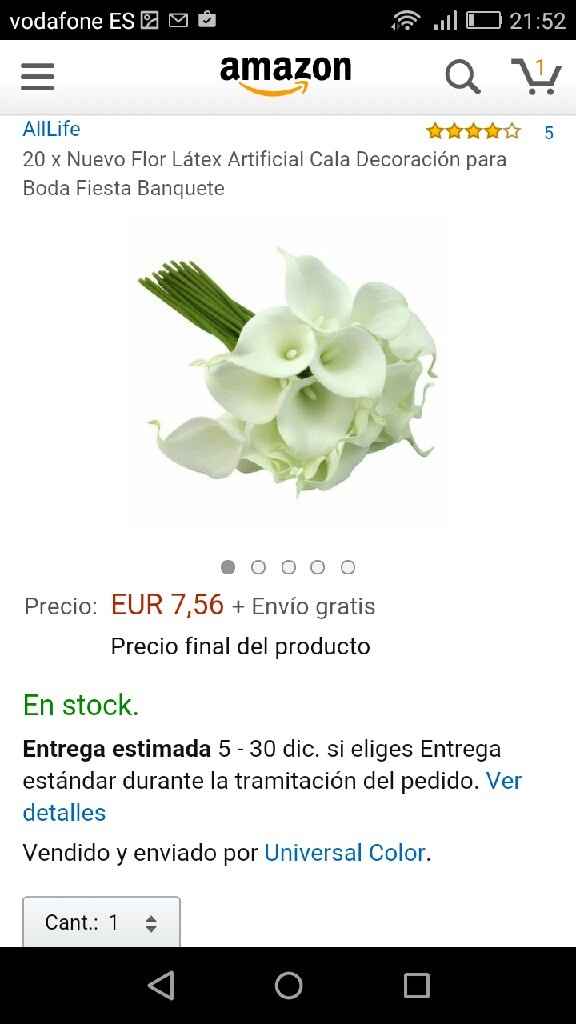 Ya ha llegado mi estola! - 2