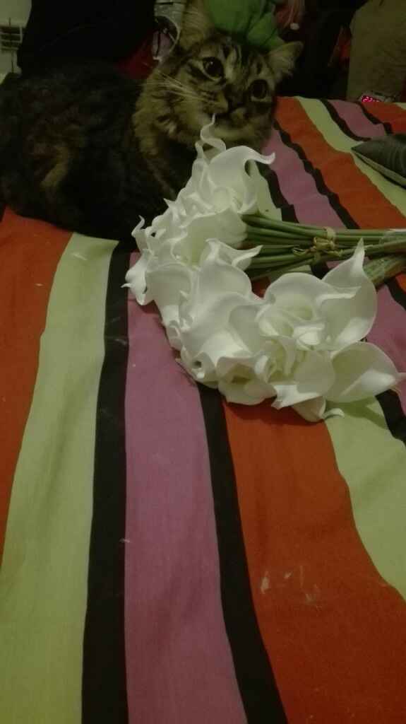 Ya ha llegado mi estola! - 1