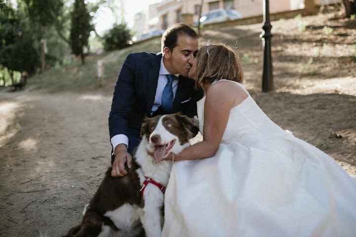 Postboda con nuestra perrita - 2