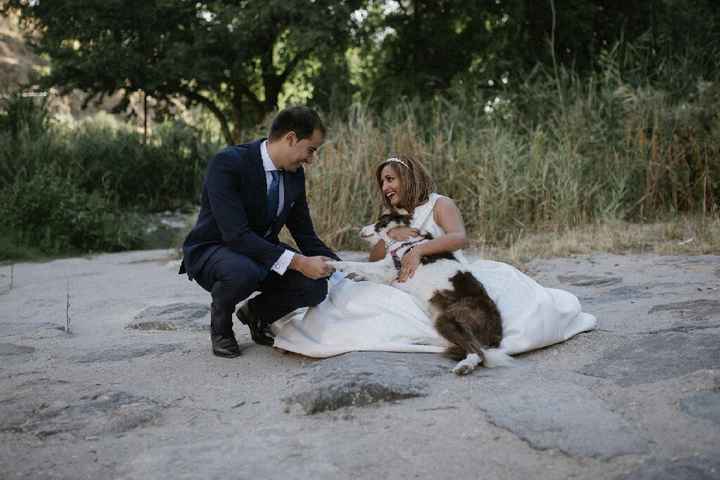 Postboda con nuestra perrita - 3