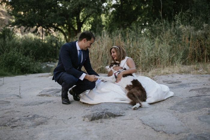 Postboda con nuestra perrita - 3
