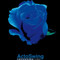 Actoswing Producciones -organización De Ceremonias Civiles-