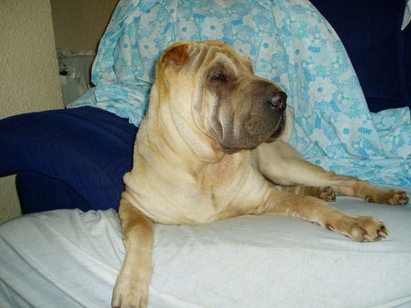 MI NOA :P