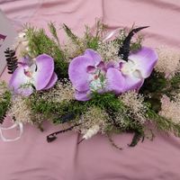 Ayuda decoración coches!! - 2