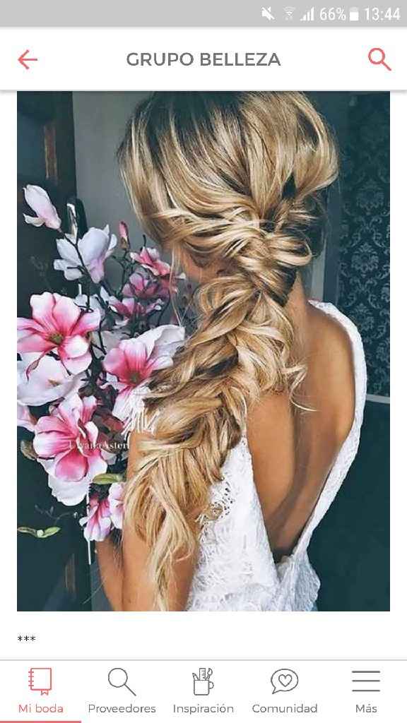  Peinados con trenzas - 1
