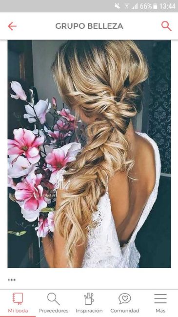  Peinados con trenzas - 1