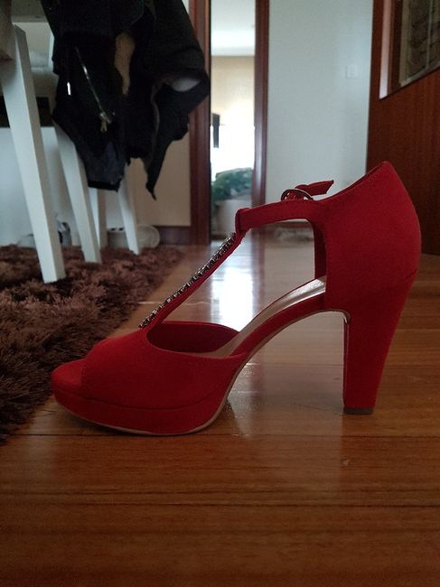 Zapatos y pendientes. - 2