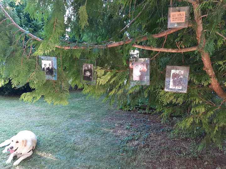 Decoración Boda - 8