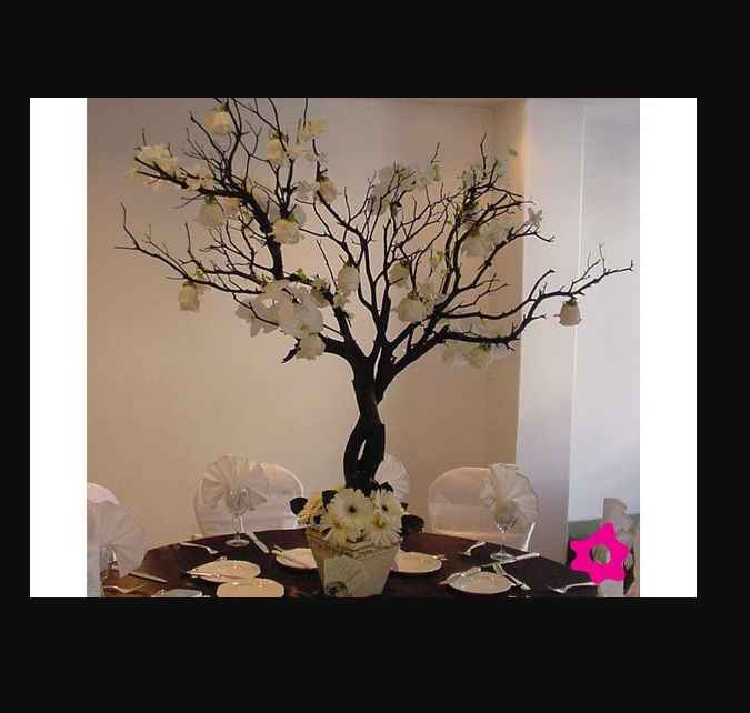 Arbol ramas secas - 1