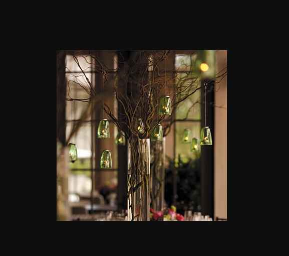 Arbol ramas secas - 2