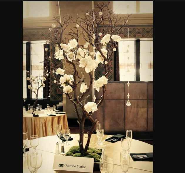 Arbol ramas secas - 3