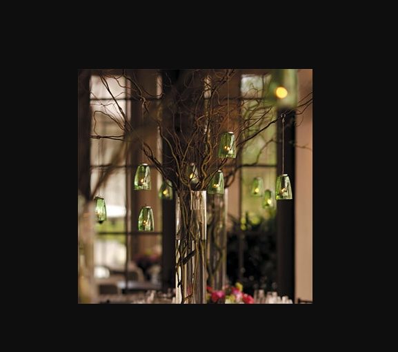 Arbol ramas secas - 2