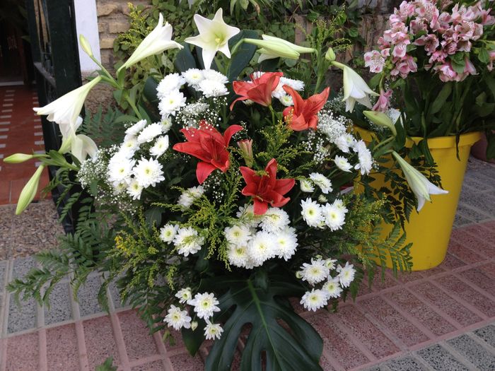 flores