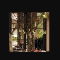 Arbol ramas secas - 2