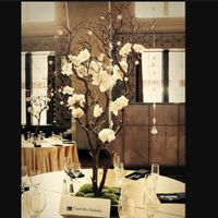 Arbol ramas secas - 3