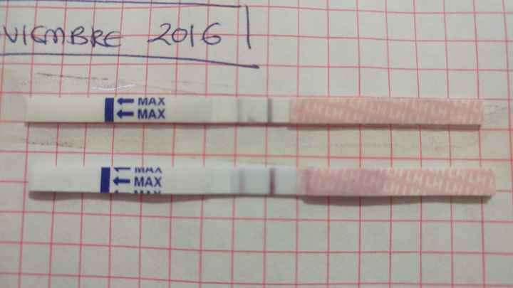 TO 12 y 13