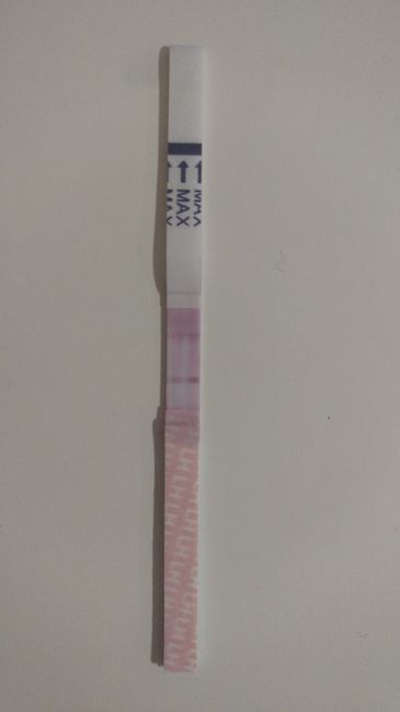 TO dia 16