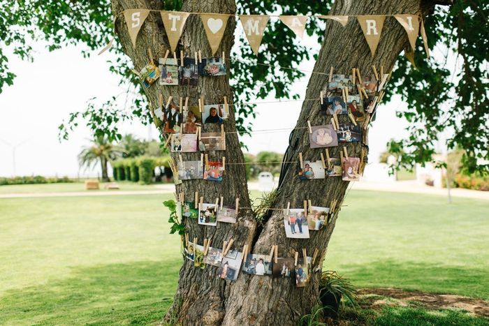 ¿Te casas al aire libre? Sácale provecho a los 🌳 3