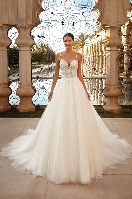 Día 13: Vestido de Demetrios 1