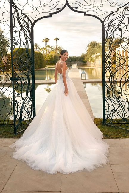 Día 13: Vestido de Demetrios 3