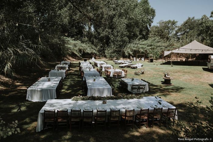 ¿Te gustaría tener una boda estilo vintage? 3