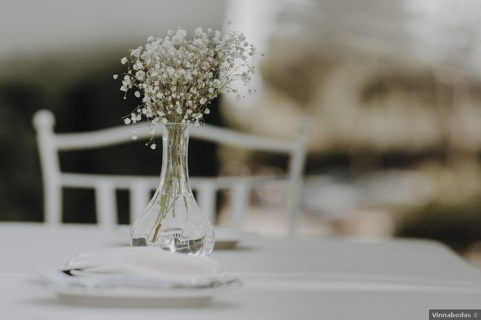 ¿Estará presente la paniculata en la decoración de vuestra boda? 2