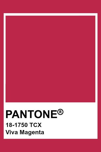 Viva Magenta: ¡el color del año Pantone 2023! 1