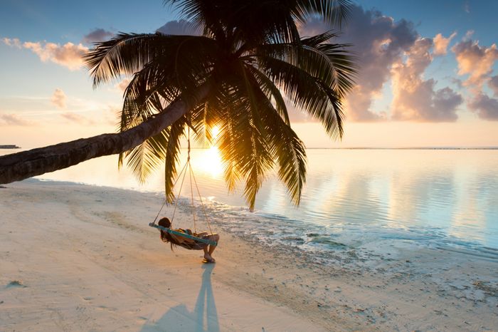 ¿Playa paradisíaca o selva tropical? 2