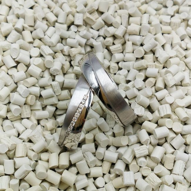 ¿Ya tenéis vuestras alianzas elegidas? 1