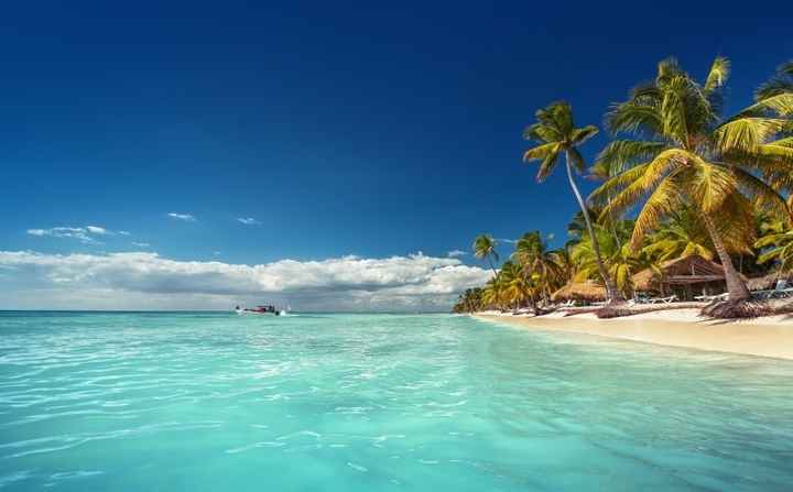 Novi@s Punta Cana 2020: ¡Preséntate! - 1